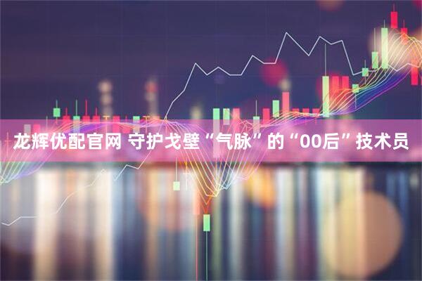 龙辉优配官网 守护戈壁“气脉”的“00后”技术员