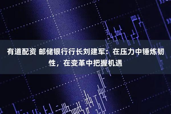 有道配资 邮储银行行长刘建军：在压力中锤炼韧性，在变革中把握机遇